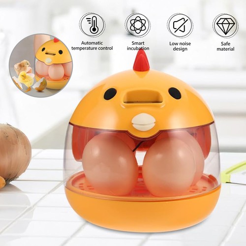 Egg incubator eggs hatching - egg,