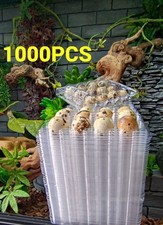 Quail Egg Box Plastic Boxes X