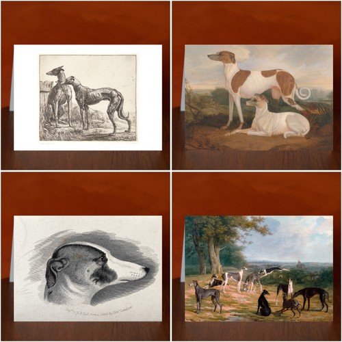 Greyhound art print - greyhound,