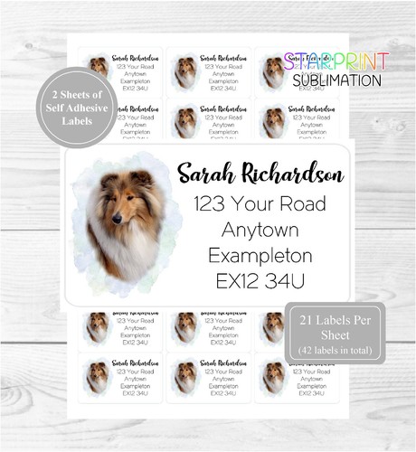 Rough collie - rough,