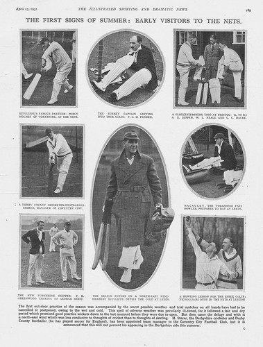 Cricket early visitors - early,