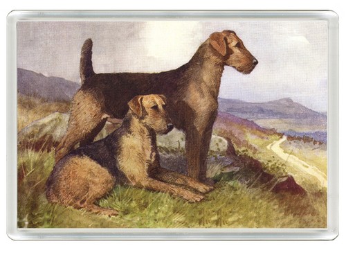 Airedale terrier dog fridge - airedale,