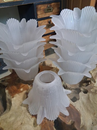 Frosted glass tulip lamp - tulip,