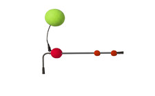 Catfish Live/Dead Bait