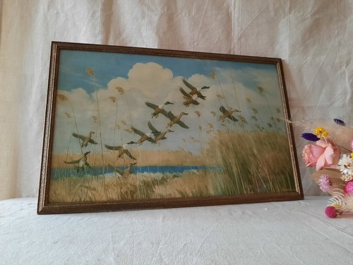 Peter scott vintage framed - scott,
