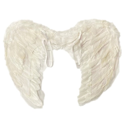 White feather large wings - feather,