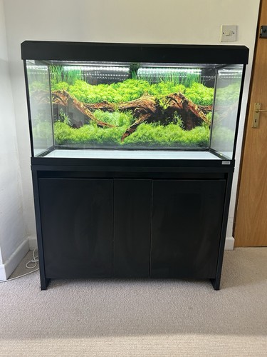 Fluval roma 200l tank - 200l,