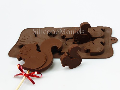 Squirrel woodland animal - woodland,