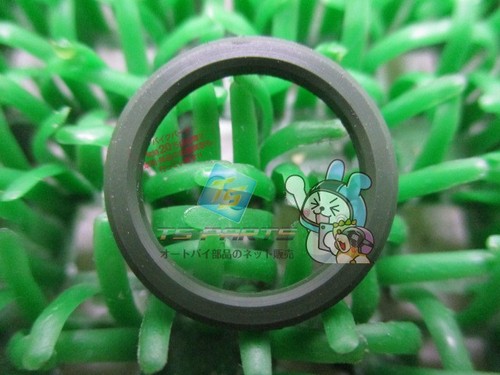 Crf50f cylinder ring - -, in