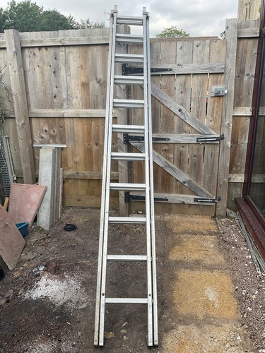 Youngman ladder large - youngman,