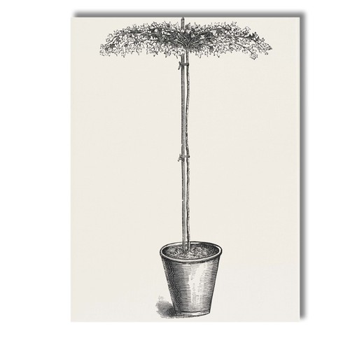 Canvas wall art decor - art,