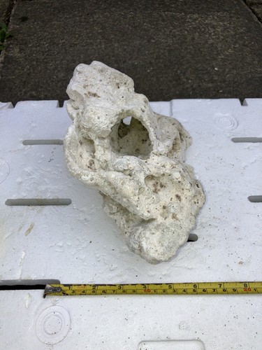 Pl5 dry tonga - pl5, rock