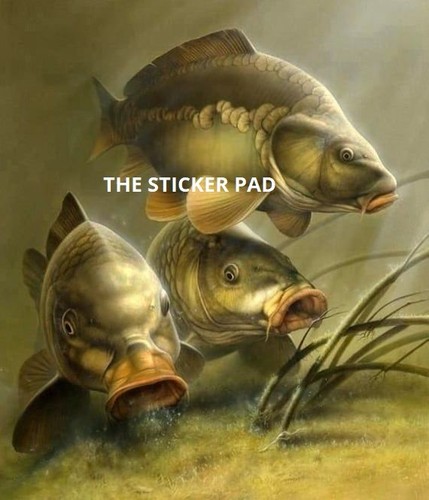 Vinyl sticker carp coarse - -,