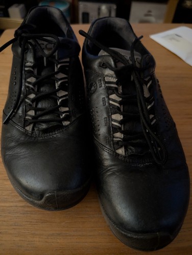 Ecco biam mens - ecco, spikeless