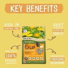 Burgess Excel Hay With