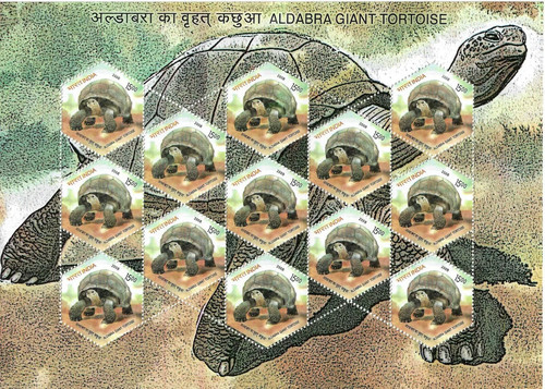 India 2008 type 15 x - 2008, 3