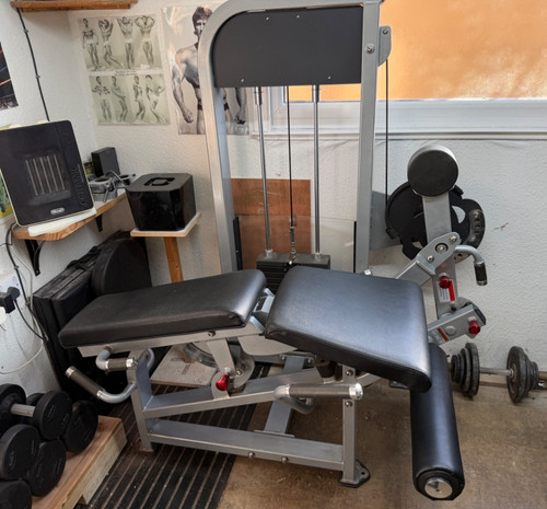 Dual leg extension curl - dual,