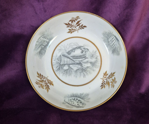 Antique regency worcester barr - antique,