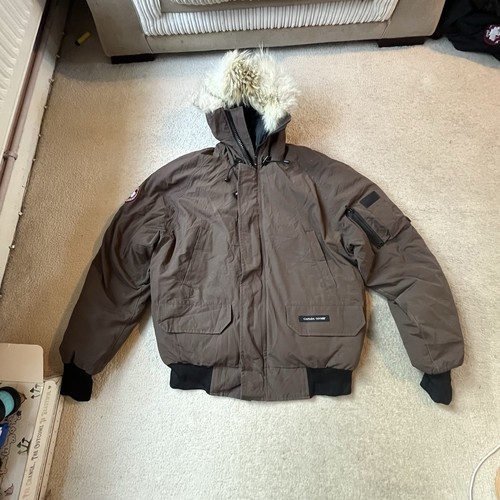 Canada goose 7950m - canada, brown