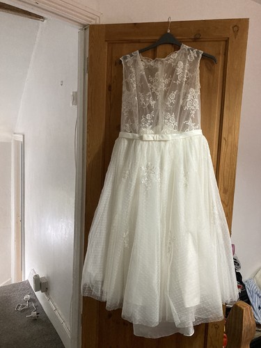 Lace tulle tea length - lace,