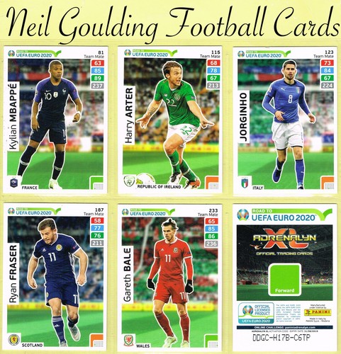 Panini adrenalyn road - ☆,