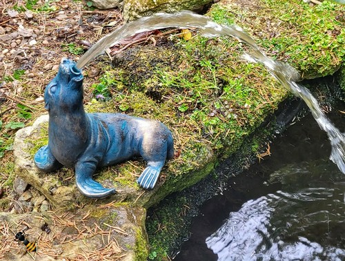 Pond spitter seal - seal, garden