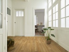 Atlantic Oak | Light Oak | 2mm