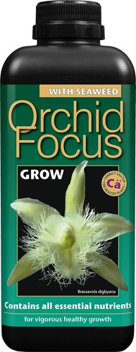 Growth technology ltd gtofg1 - technology,
