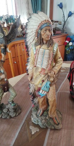 American indian chief - chief, hunter