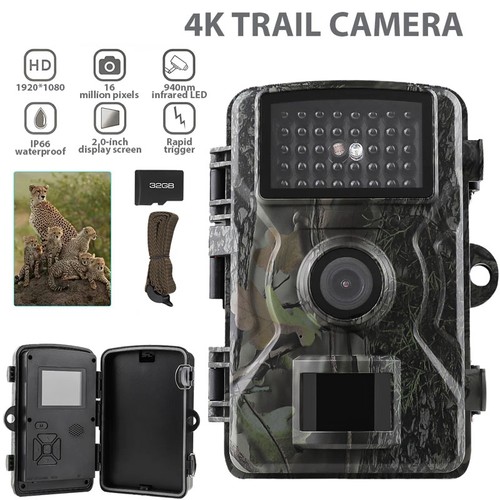 Wildlife trail camera - wildlife,