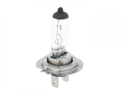 Vicma bulb halogen px26d - bulb,