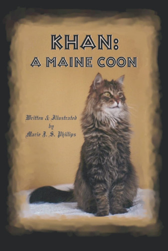 Khan maine coon - a,