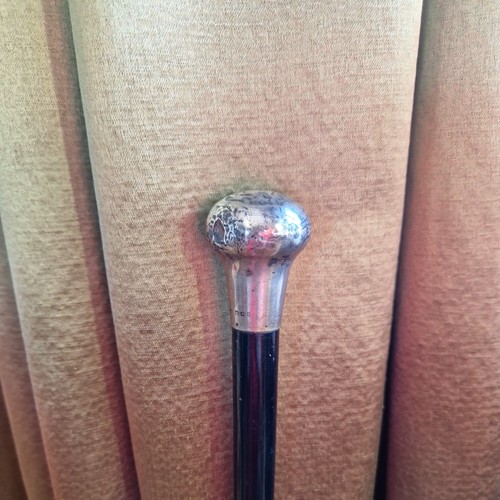 Antique vintage walking stick - vintage,