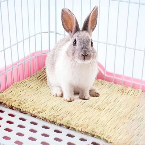 Pet rabbit grass - mat, guinea