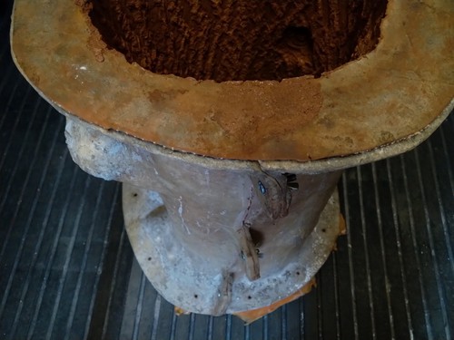 Bird bath concrete mould - bird,