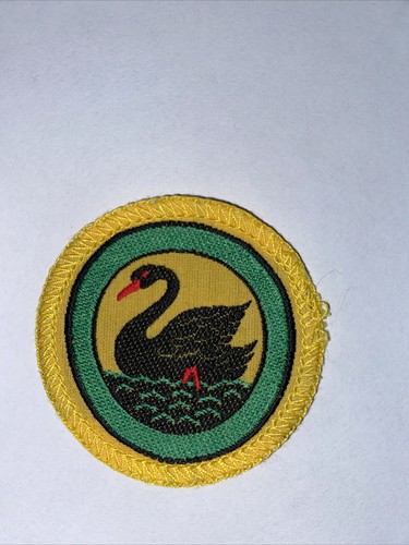 Boy scout scarf badge - scarf,