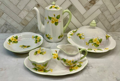 Shelley dainty primrose - shelley,