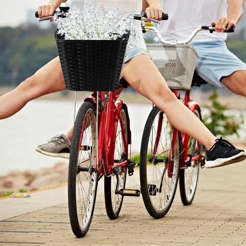 Ladies bike basket - ladies, detachable
