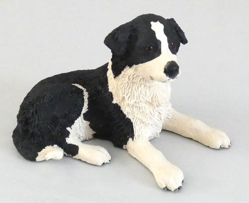 Pups galore border collie - pups,