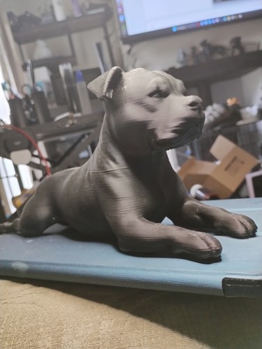 Staffordshire bull terrier - staffordshire,