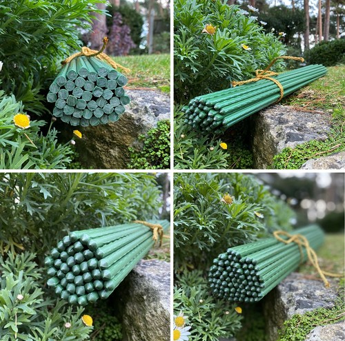 Plant support stakes - support, metal