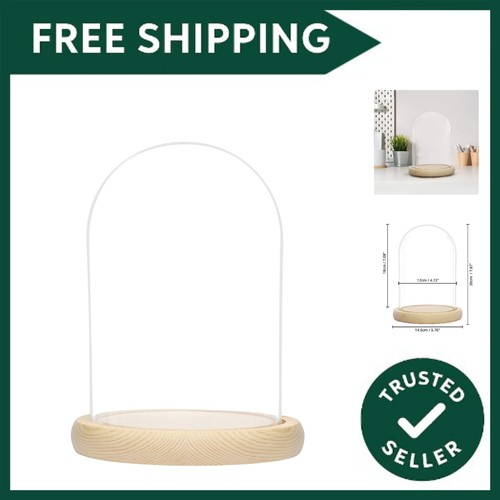 Large glass dome - glass, cloche