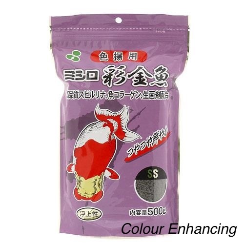 Azayaka goldfish ranchu - goldfish, colour