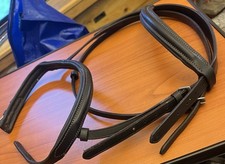 Lovely Shetland Pony Sized