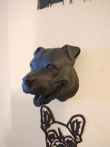 Staffordshire bull terrier - staffordshire,