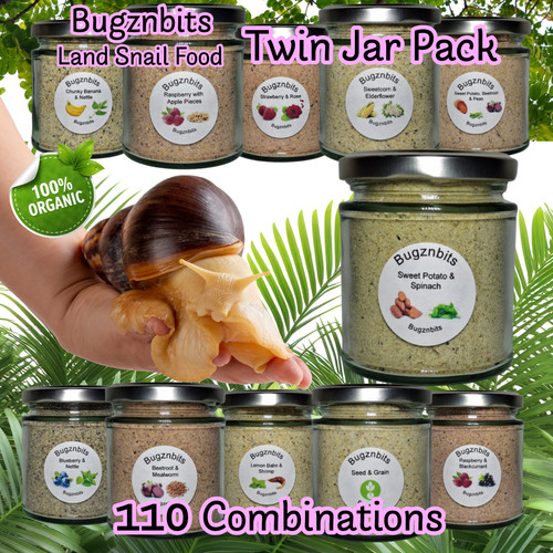 Bugznbits twin jar pack snail - ,