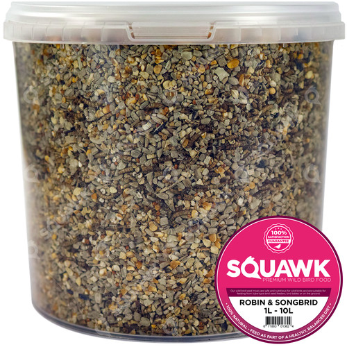 Squawk robin songbird food - robin,