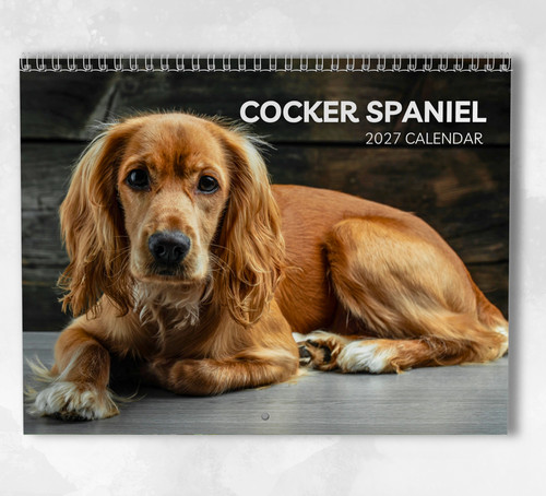 Cocker spaniel calendar 2027 - spaniel,
