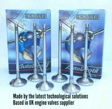 6 INLET VALVES FIT TO Galaxy