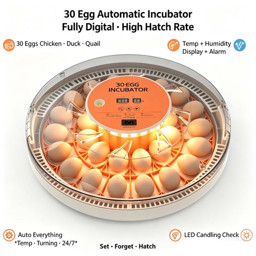 Incubators for hatching - for,